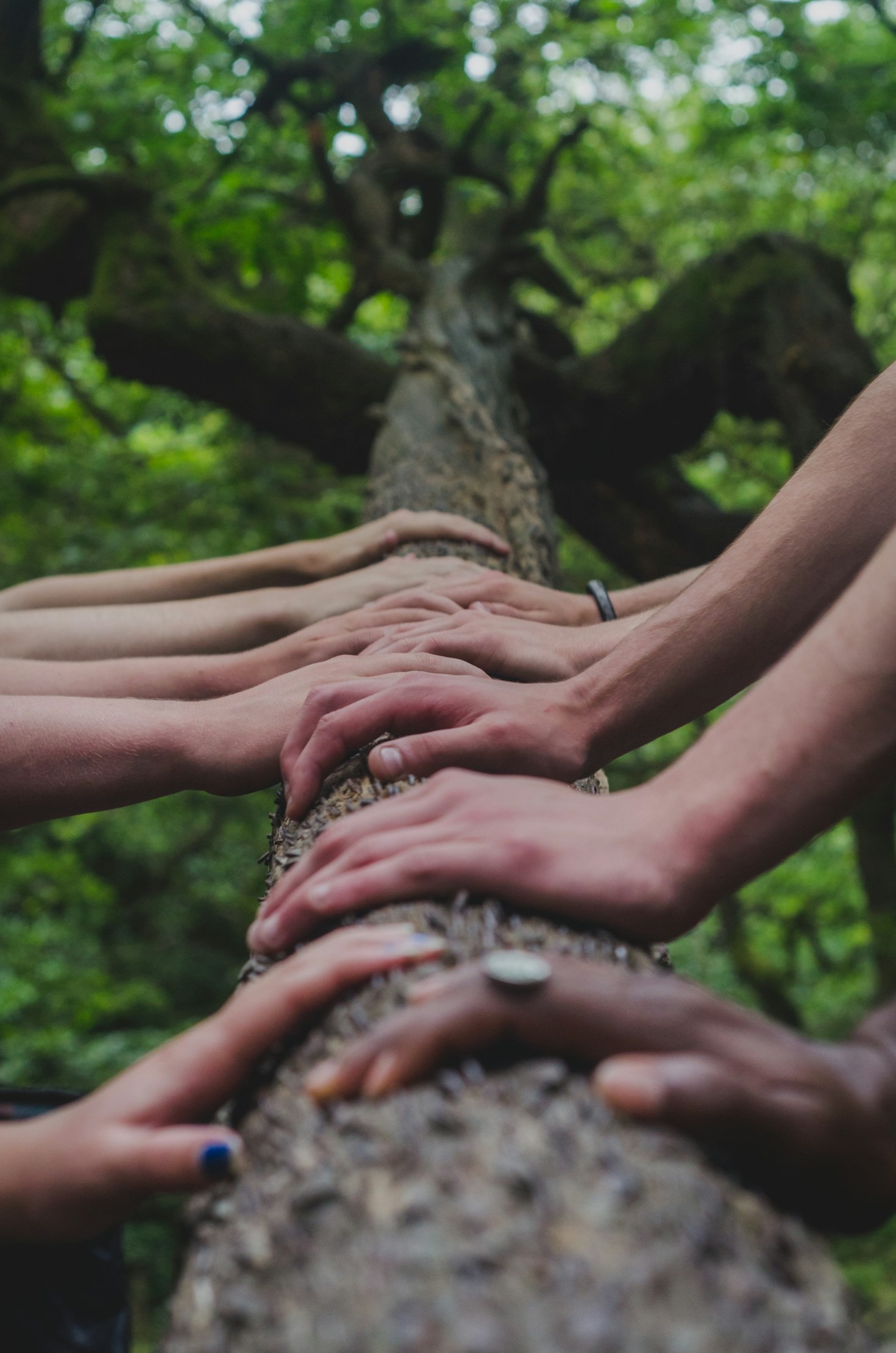 The Key Role of Training in Social and Solidarity Economy